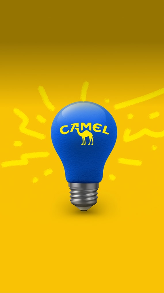 Quiz Camel