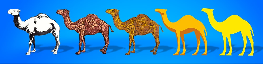 Czy znasz markę Camel?