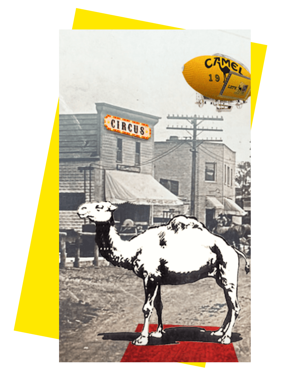 Camel 1913 - Szkic wielbłąda