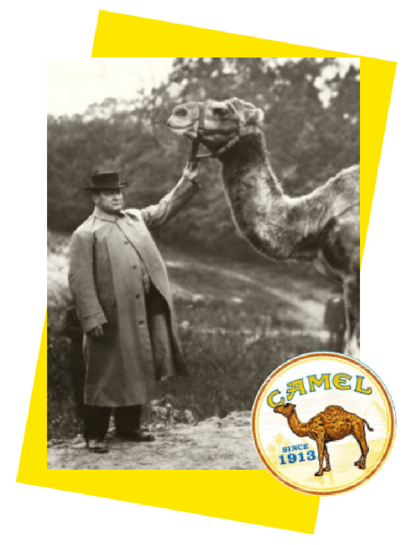 Camel 1913 - The Camels are coming