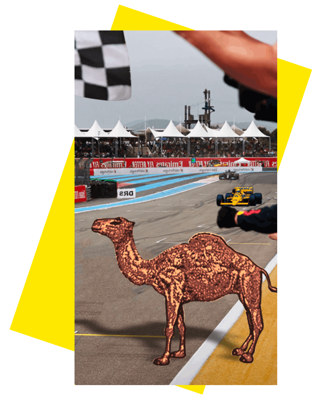 Camel 1972 - Formuła 1 i Camel Trophy
