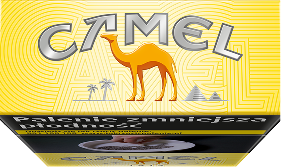 Camel Yellow KS